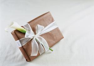 ビルウォールワールドが扱う商品の種類